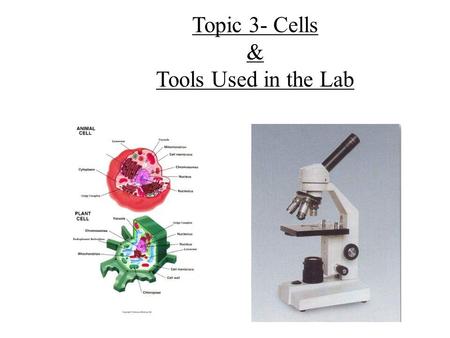 Topic 3- Cells & Tools Used in the Lab