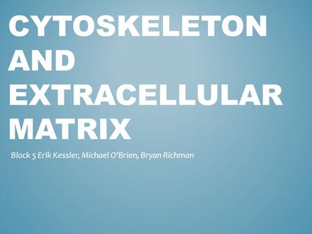 CYTOSKELETON AND EXTRACELLULAR MATRIX Block 5 Erik Kessler, Michael O’Brien, Bryan Richman.