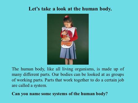 Let’s take a look at the human body. The human body, like all living organisms, is made up of many different parts. Our bodies can be looked at as groups.