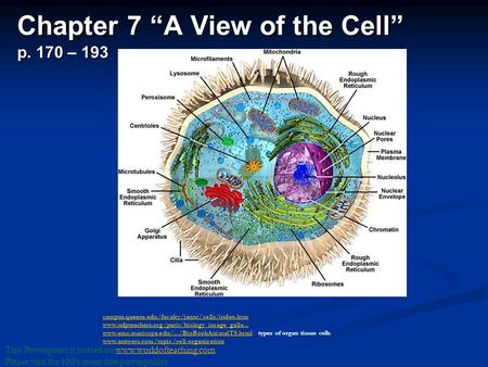 Chapter 7 “A View of the Cell” p. 170 – 193