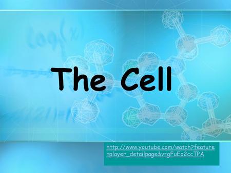 The Cell  =player_detailpage&v=gFuEo2ccTPA.