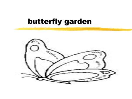 Butterfly garden.
