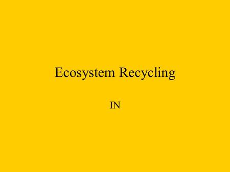 Ecosystem Recycling IN.