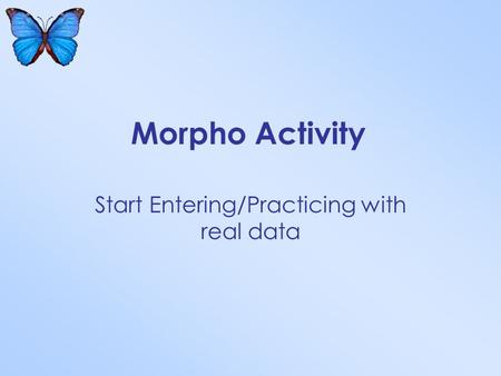 Morpho Activity Start Entering/Practicing with real data.