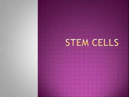  LO: To know what stem cells are and how they can be used to treat medical conditions.