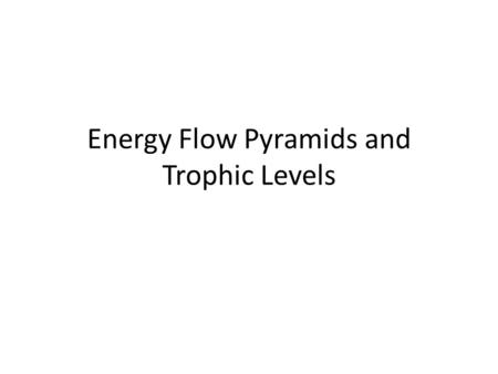 Energy Flow Pyramids and Trophic Levels. TROPHIC LEVELS  An organisms trophic (feeding) level is determined by the organism’s source of energy  There.
