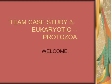 TEAM CASE STUDY 3. EUKARYOTIC – PROTOZOA.