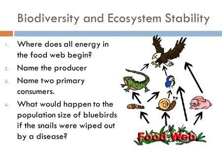 Biodiversity and Ecosystem Stability 1. Where does all energy in the food web begin? 2. Name the producer 3. Name two primary consumers. 4. What would.