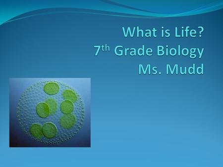 What is Life? 7th Grade Biology Ms. Mudd