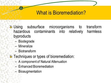 What is Bioremediation?