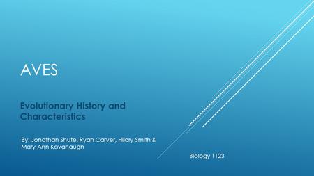 AVES Evolutionary History and Characteristics Biology 1123 By: Jonathan Shute, Ryan Carver, Hilary Smith & Mary Ann Kavanaugh.