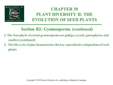 CHAPTER 30 PLANT DIVERSITY II: THE EVOLUTION OF SEED PLANTS Copyright © 2002 Pearson Education, Inc., publishing as Benjamin Cummings Section B2: Gymnosperms.