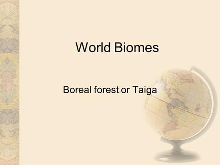 World Biomes Boreal forest or Taiga. Climate Long, cold winters, and short, mild, wet summers are typical of this region. In the winter, chilly winds.