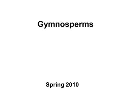 Gymnosperms Spring 2010. Outline Review of land plant phylogeny Characters of seed plants Gymnosperm phylogeny & diversity –Gnetophytes –Cycads –Gingko.