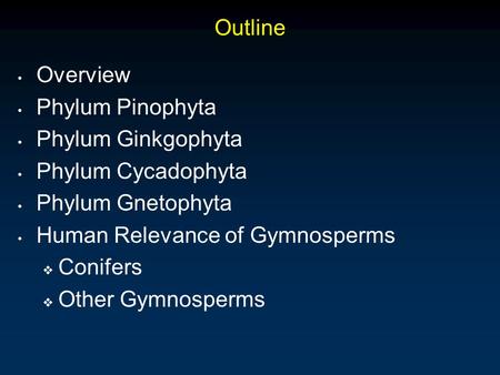 Outline Overview Phylum Pinophyta Phylum Ginkgophyta Phylum Cycadophyta Phylum Gnetophyta Human Relevance of Gymnosperms  Conifers  Other Gymnosperms.