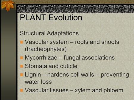 PLANT Evolution Structural Adaptations Vascular system – roots and shoots (tracheophytes) Mycorrhizae – fungal associations Stomata and cuticle Lignin.