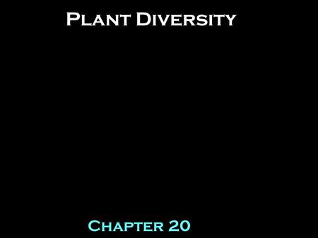 Plant Diversity Chapter 20. Why are plants important? MM edicine FF ood CC onvert abiotic to biotic CC reate habitats MM odify the climate SS.
