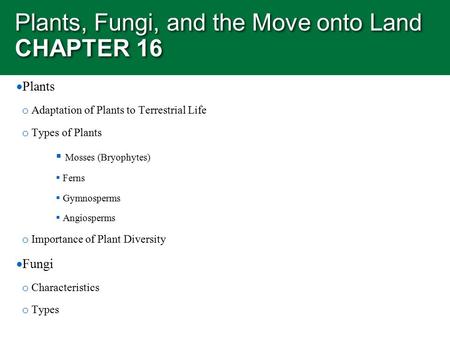 Plants, Fungi, and the Move onto Land CHAPTER 16  Plants o Adaptation of Plants to Terrestrial Life o Types of Plants  Mosses (Bryophytes)  Ferns 
