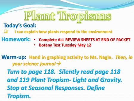 Warm-up: Hand in graphing activity to Ms. Nagle. Then, in your science journal  Today’s Goal:  I can explain how plants respond to the environment Turn.