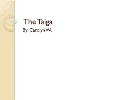 The Taiga By: Carolyn Wu.