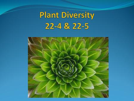 The seed was major step in the evolution of land plants. It allowed plants to be able to colonize dryer areas of land.
