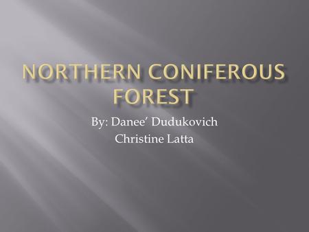 By: Danee’ Dudukovich Christine Latta.  occupies a vast area below the tundra, extending completely across Canada and into interior Alaska, As well as.