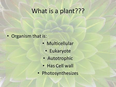 What is a plant??? Organism that is: Multicellular Eukaryote
