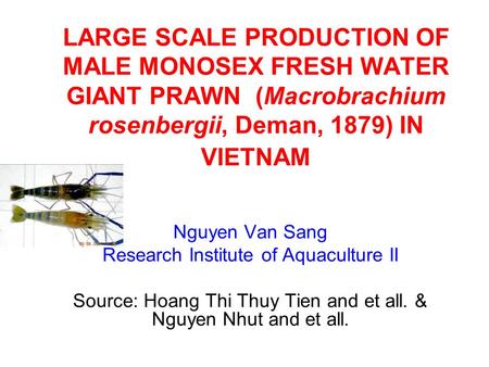 LARGE SCALE PRODUCTION OF MALE MONOSEX FRESH WATER GIANT PRAWN (Macrobrachium rosenbergii, Deman, 1879) IN VIETNAM Nguyen Van Sang Research Institute.