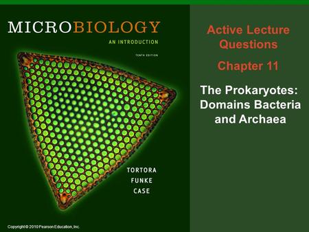 Copyright © 2010 Pearson Education, Inc. Active Lecture Questions Chapter 11 The Prokaryotes: Domains Bacteria and Archaea.
