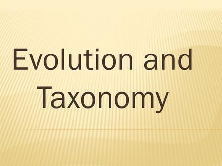 Evolution and Taxonomy. nothing in biology makes sense except in the light of evolution”