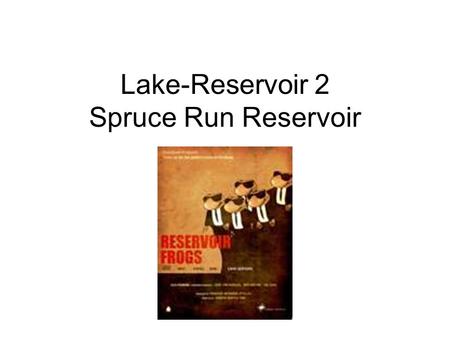 Lake-Reservoir 2 Spruce Run Reservoir. Program Design Science Content Aquatic Life Food Chains Spruce Run Content Man-made Lake Local Aquatics Science.