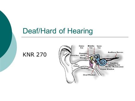 Deaf/Hard of Hearing KNR 270.