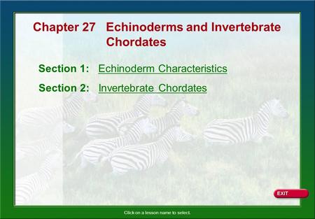 Chapter 27 Echinoderms and Invertebrate