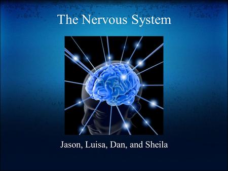 The Nervous System Jason, Luisa, Dan, and Sheila.