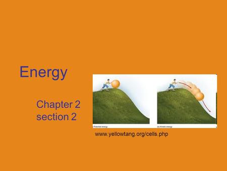 Energy Chapter 2 section 2 www.yellowtang.org/cells.php.
