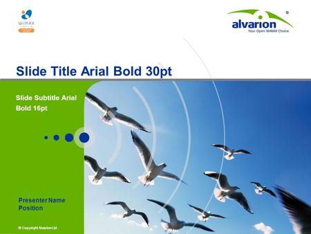 © Copyright Alvarion Ltd. Slide Title Arial Bold 30pt Slide Subtitle Arial Bold 16pt Presenter Name Position.
