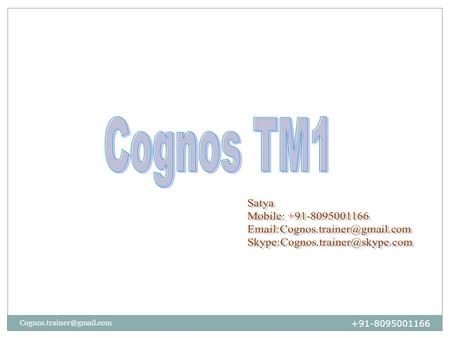 Cognos TM1 Satya Mobile: