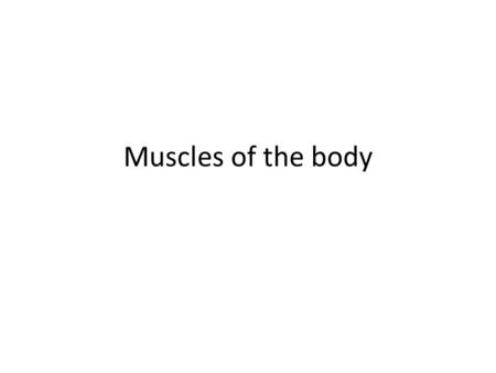 Muscles of the body. Topics we will be covering What are muscles? What are the types of muscles? What do muscles do?