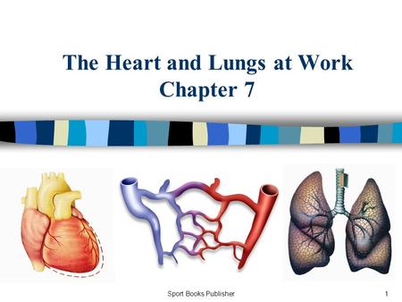 Sport Books Publisher1 The Heart and Lungs at Work Chapter 7.
