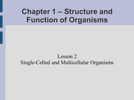 Chapter 1 – Structure and Function of Organisms Lesson 2 Single-Celled and Multicellular Organisms.