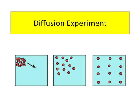 Diffusion Experiment.