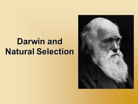 Darwin and Natural Selection. studied medicine at Edinburgh University (1825-1827) where the sight of blood and surgery without anesthetics repulsed him.