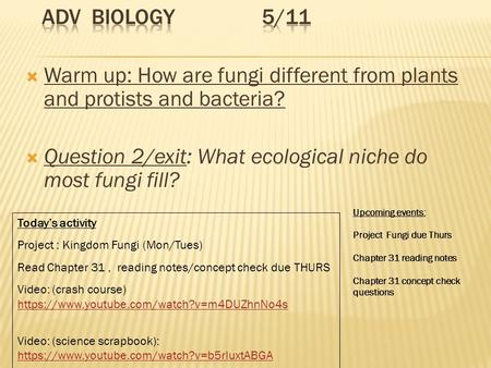  Warm up: How are fungi different from plants and protists and bacteria?  Question 2/exit: What ecological niche do most fungi fill? Today’s activity.