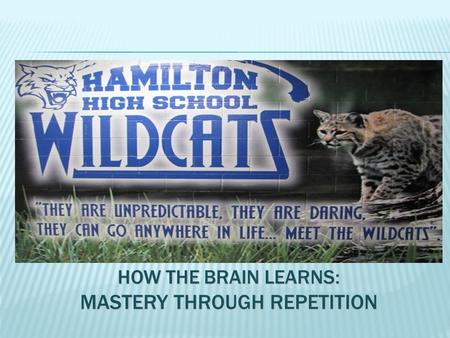 HOW THE BRAIN LEARNS: MASTERY THROUGH REPETITION.