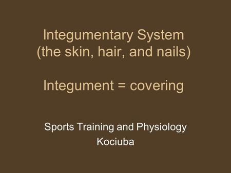 Integumentary System (the skin, hair, and nails) Integument = covering Sports Training and Physiology Kociuba.
