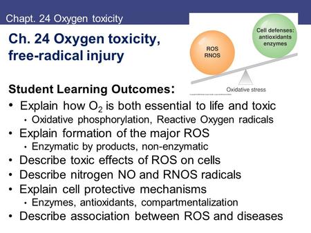 Explain how O2 is both essential to life and toxic