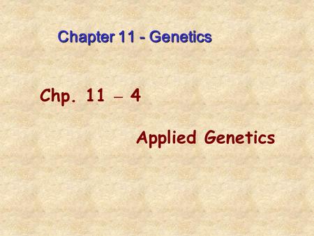 Chapter 11 - Genetics Chp. 11 – 4 Applied Genetics.