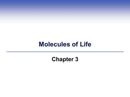 Molecules of Life Chapter 3. 3.1 Molecules of Life  Molecules of life are synthesized by living cells Carbohydrates Lipids Proteins Nucleic acids.