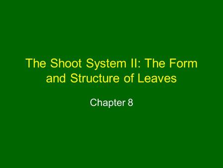 The Shoot System II: The Form and Structure of Leaves