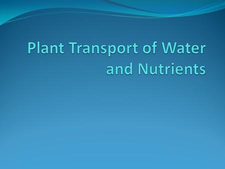 Plant Transport of Water and Nutrients